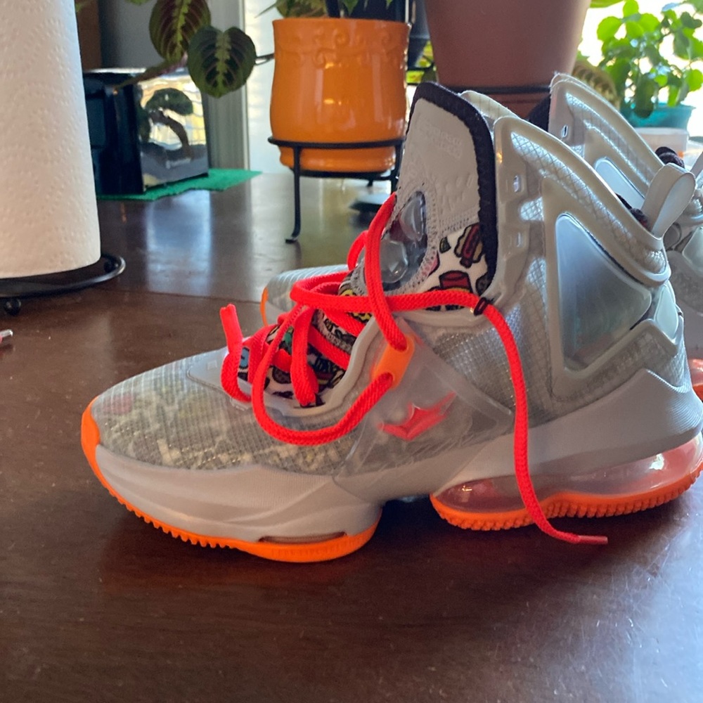 LeBron James (Nike) shoes. They have never been worn.